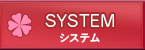 システム