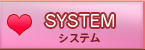 システム