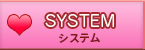 システム